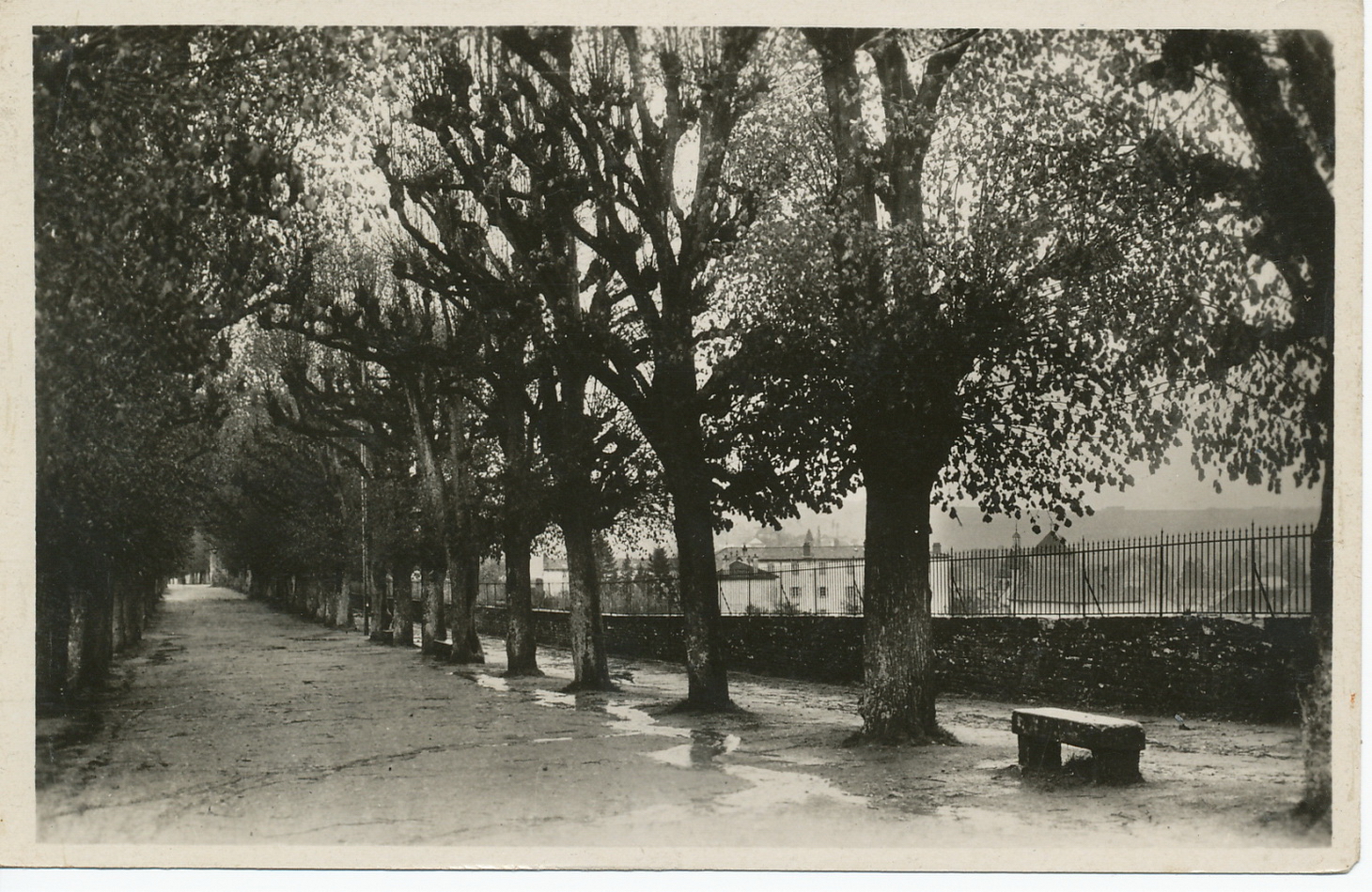 Cluny. Promenade du Fouettin (d'après la tradition, c'est là que jadis, étaient fouettées les femmes coupables).