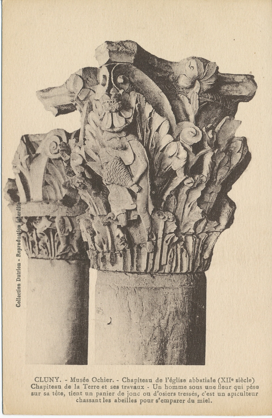 Cluny. Musée Ochier. Chapiteau de l'église abbatiale (XIIe s.). Chapiteau de la terre et ses travaux. Un homme sous une fleur qui pèse sur sa tête, tient un panier de jonc ou d'osiers tressés, c'est un apiculteur chassant les abeilles pour s'emparer du miel.