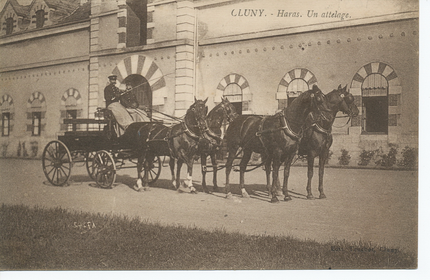 Cluny. Haras. Un attelage.