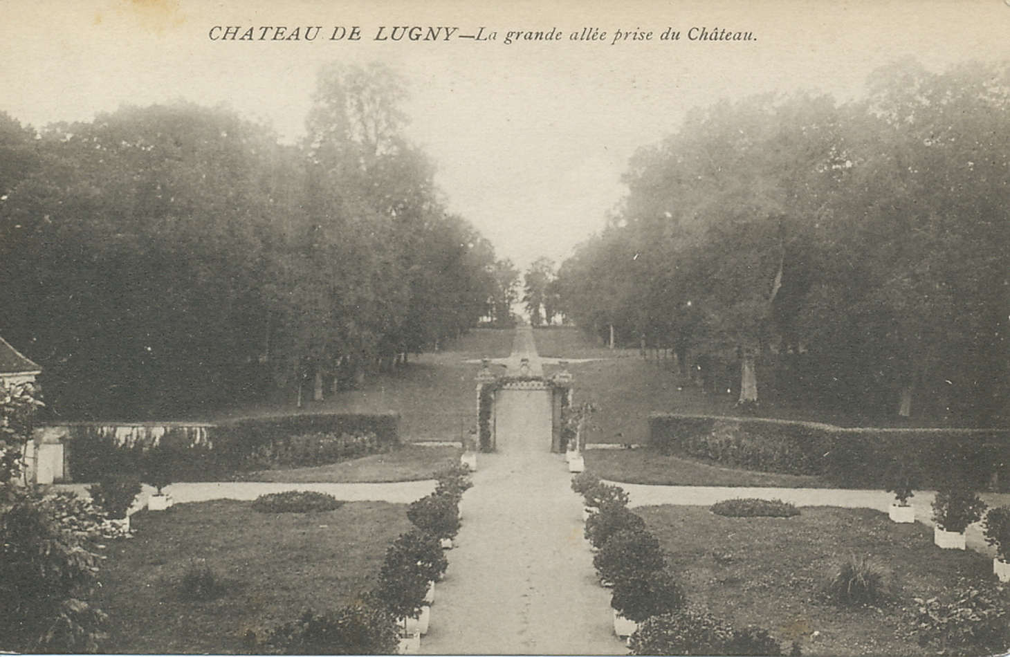 Château de Lugny. La grande allée prise du Château.