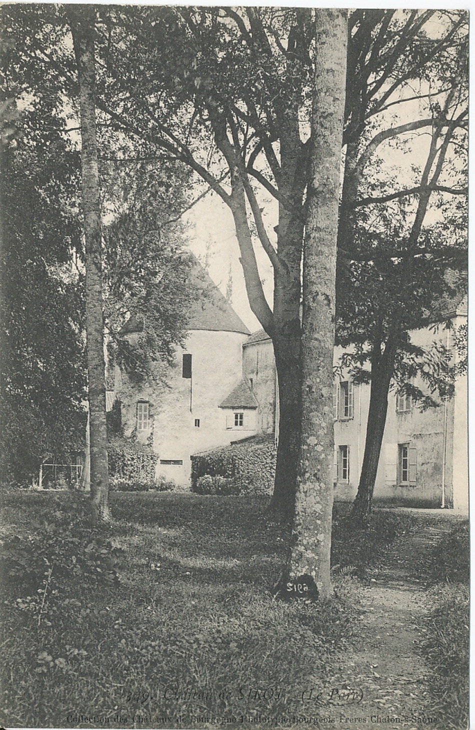 Parc du château de Sirot.