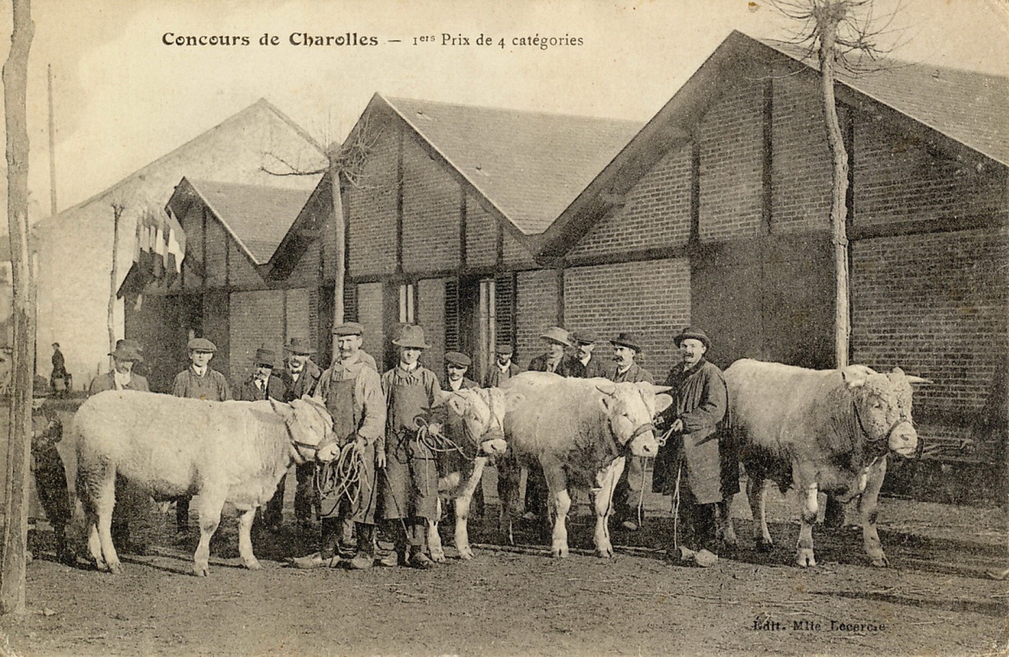 Concours de Charolles. 1er prix de 4 catégories.